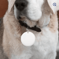 GPS Tracker For Dogs Cat Pet Child Smart Tag Gadgets Keychain For Keys Search Key Finder Mini Anti Lost Alarm Gps Locator Pets Products - Glixen Store