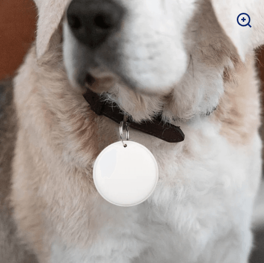 GPS Tracker For Dogs Cat Pet Child Smart Tag Gadgets Keychain For Keys Search Key Finder Mini Anti Lost Alarm Gps Locator Pets Products - Glixen Store