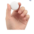 GPS Tracker For Dogs Cat Pet Child Smart Tag Gadgets Keychain For Keys Search Key Finder Mini Anti Lost Alarm Gps Locator Pets Products - Glixen Store